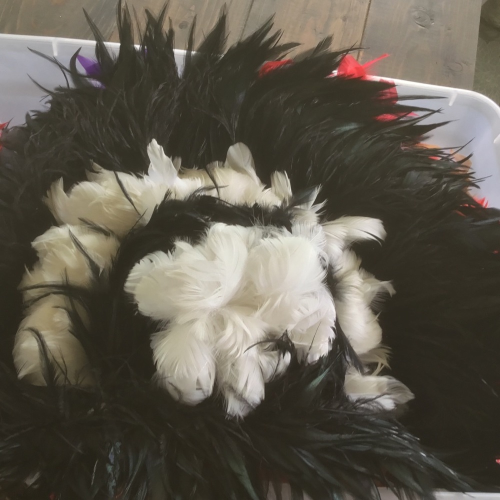 Masks n boas - Picture 3 of 5